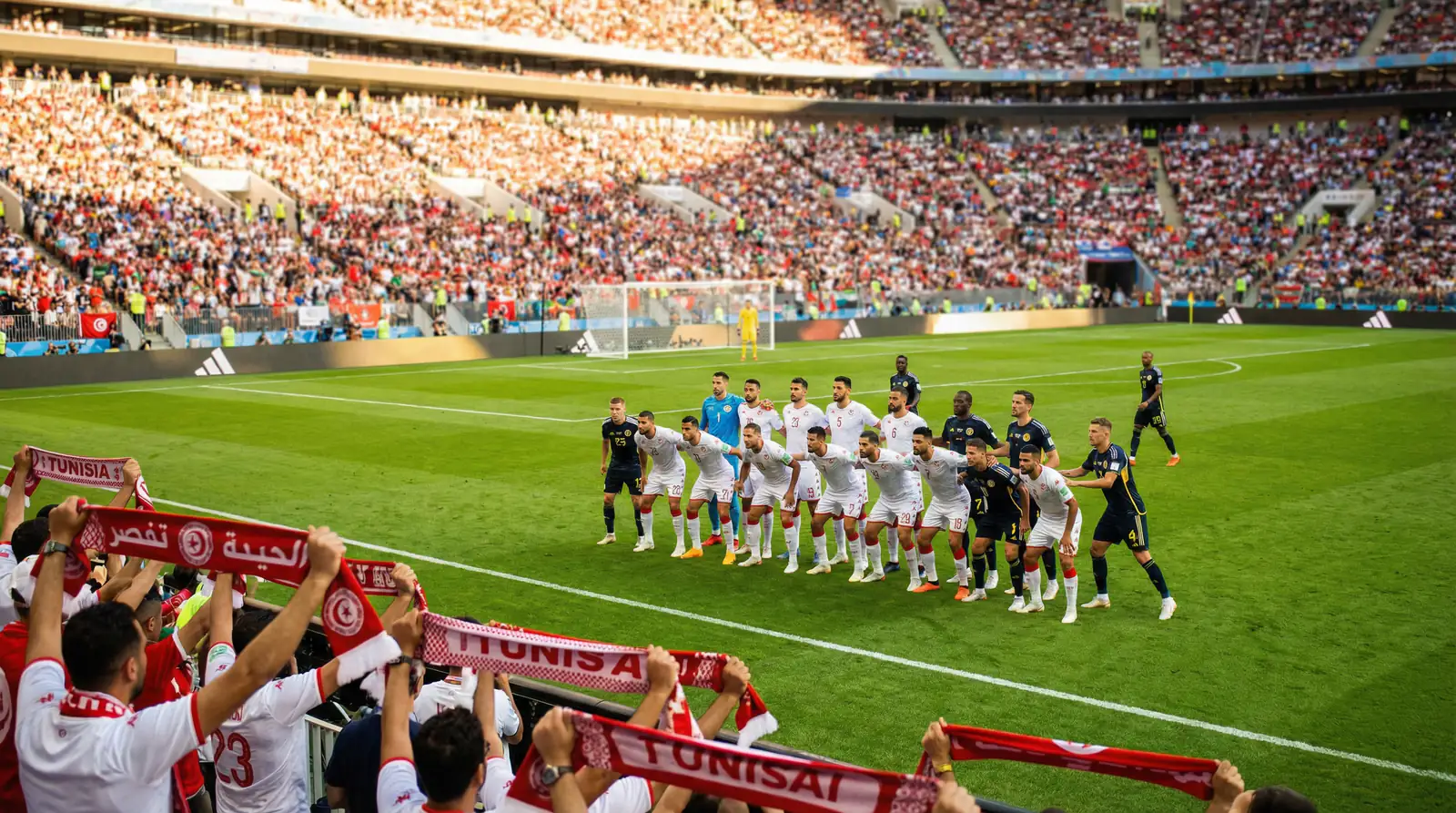 Tunisiens landslag i VM 2026 — odds, trupp och Grupp F-analys